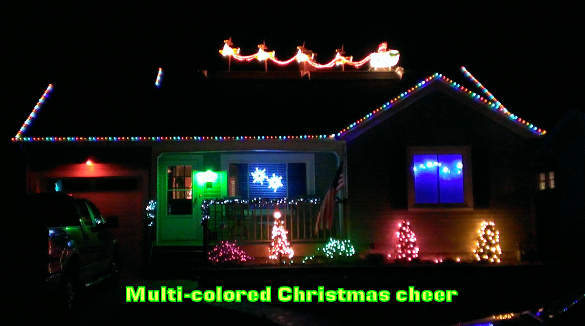 Multi Colored Christmas Lights1 