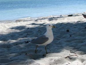IMG_0749