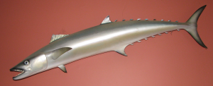 Key West King Mackerel
