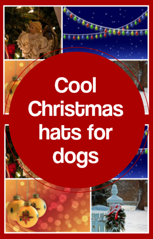 christmas hats for dogs
