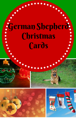 German Shepherd Christmas Cards