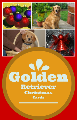 Golden Retriever Christmas Cards
