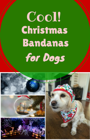 christmas bandanas for dogs