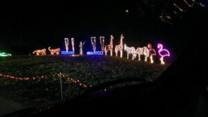 Christmas lights